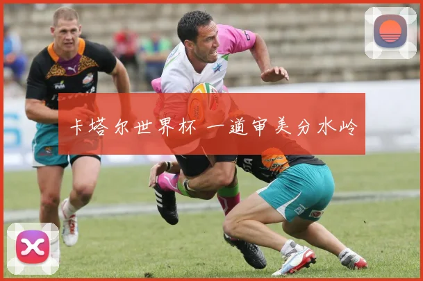 卡塔尔世界杯 一道审美分水岭