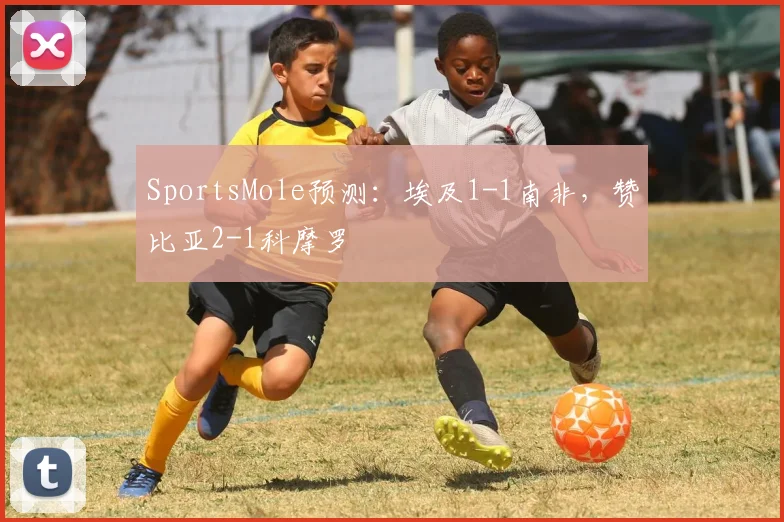 SportsMole预测：埃及1-1南非，赞比亚2-1科摩罗